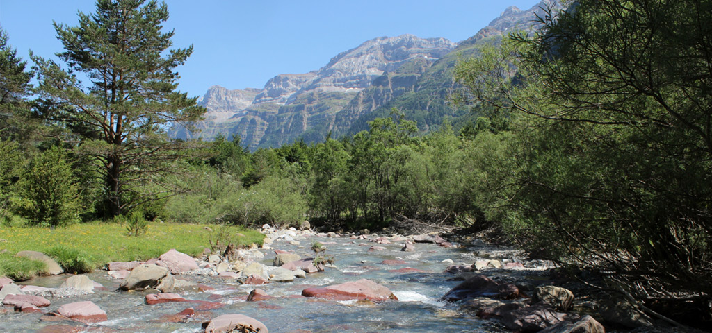 COMPROMISO | BATINSA